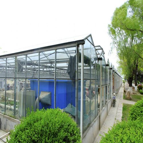 智能纹络型玻璃温室全国供应 玻璃温室设计建造厂家 纹络型玻璃温室