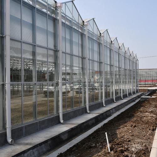 建达jd玻璃温室大棚生产厂家玻璃连栋大棚建设玻璃大棚设计报价